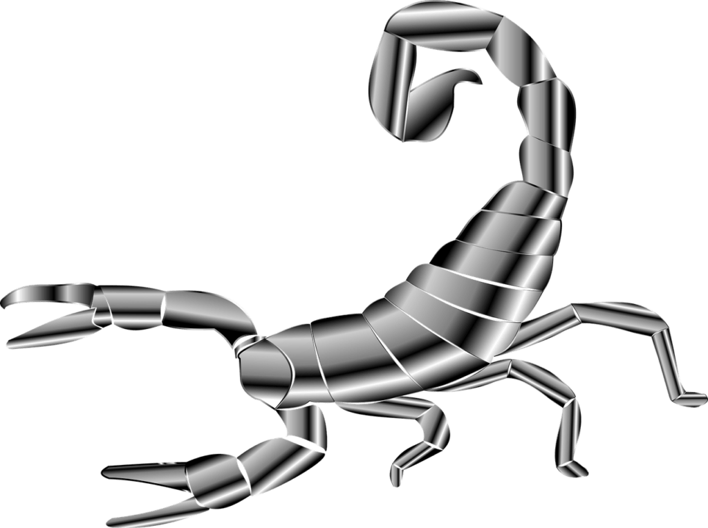 homeopatie-rhopalurus-junceus